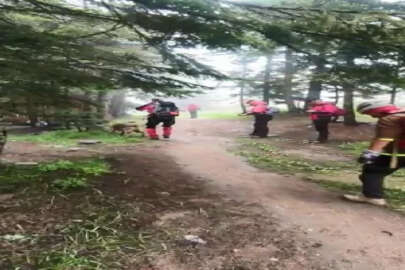 Uludağ’da şifalı ot toplarken kayboldu, 2 gündür aranıyor