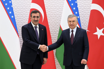 Cumhurbaşkanı Yardımcısı Yılmaz, Özbekistan Cumhurbaşkanı Mirziyoyev ile görüştü