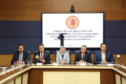 Kamu Denetçisi Yalçın: Risk grubundaki çocukların suç işleme oranı diğerlerine nazaran 11 kat daha fazla