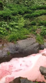 Rize'de rengi kırmızıya dönen derede inceleme