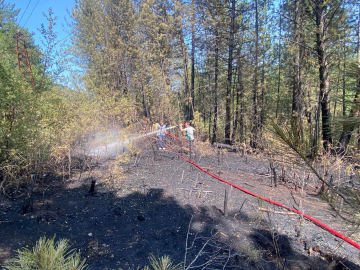 Bolu'da örtü yangını