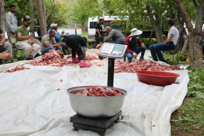 Köyde asırlık bayram geleneği; kesilen bütün kurbanlıkların eti eşit dağıtılıyor/ Ek fotoğraflar