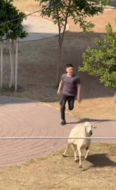 Kurbanlıkları kaldırımlarda ve yol kenarlarında kestiler (2)