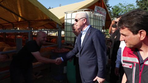 İstanbul - Hayvan pazarını ziyaret eden Vali Gül, kurban pazarlığına katıldı