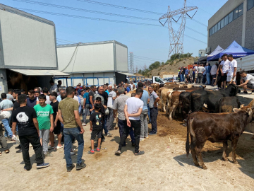 İzmir'de kurban kesim noktalarında yoğunluk