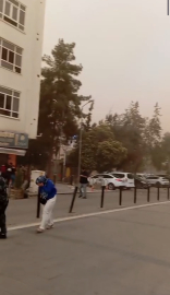 Mardin'de 350 dönüm buğday ekili alan yandı (2)