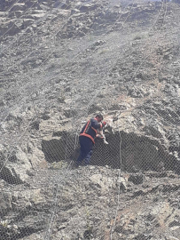 Koruma ağlarına takılan yabani keçiler kurtarıldı