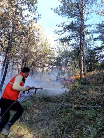 Mudurnu'daki orman yangını 1 saatte söndürüldü