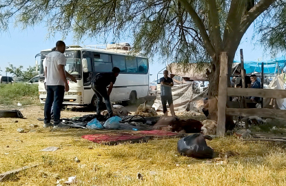 Kurbanlıkları kaldırımlarda ve yol kenarlarında kestiler