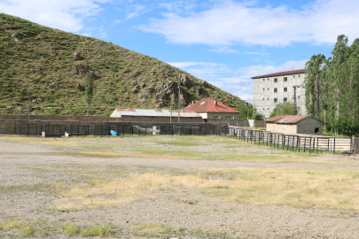 Hakkari'nin 3 ilçesinde bayram öncesi şap karantinası: Hayvan pazarları kapatıldı
