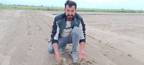 Kayseri'de sağanak ve dolu nedeniyle tarım arazileri zarar gördü