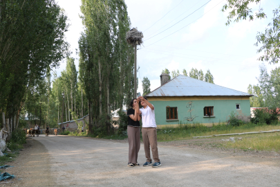 22 yıldır göç etmeyen leyleklere bakıyorlar