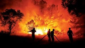 'Uçaktan atılan su sadece yangını geciktirir, esas mücadele yerde yapılır'