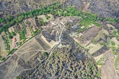Bilecik’teki yangında alevler tarihi köyü küle çevirdi: Uçan bir kuşun yanarak düştüğünü gördüm /Video eklendi