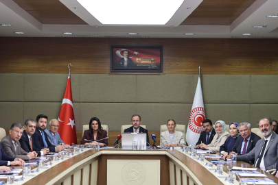 TBMM Engelli Bireylerin Sorunlarını Araştırma Komisyonu, ilk toplantısını yaptı