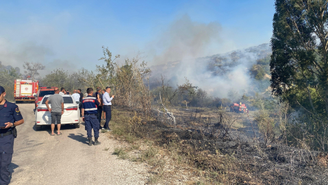 Adana'da orman yangını