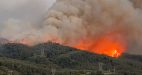 Hatay'da orman yangını (2)