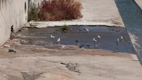 İstanbul - Küçükçekmece’de dereden gelen kokuya mahalleli tepki gösterdi, atık döküldüğü iddia edildi