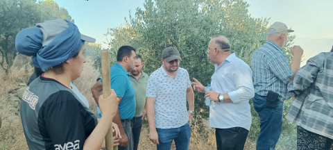 Aydın'da orman yangını