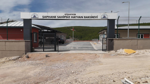 Kütahya'ya 20 bin kapasiteli hayvan barınağı