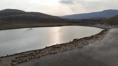 Bitlis'te göçerlerin zorlu yayla hayatı