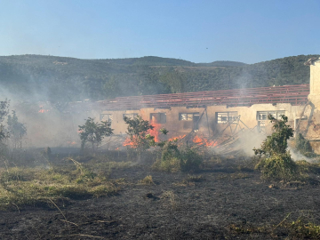Rüzgarın etkisiyle kopan elektrik telleri yangına neden oldu