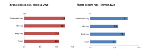 TÜİK: Temmuzda ihracat ve ithalat arttı