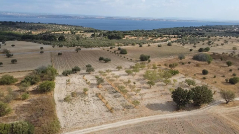 Günlükte bir subayın gözünden Çanakkale Savaşı / Ek fotoğraflar