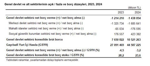 TÜİK: Devlet açığının GSYH'ye oranı 2024 yılında azaldı