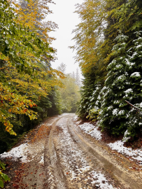 Bolu’nun yüksek kesimlerine kar yağdı