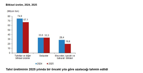 TÜİK'in bitkisel üretim tahmini yayımlandı