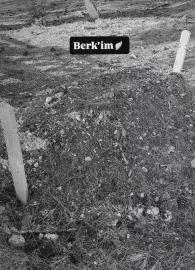 İstanbul- 'Hastane servis odasındaki doğumda doktorun elinden kayan bebek öldü' iddiasına çifte soruşturma