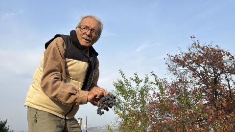 86 yaşında, arazisinde 54 farklı organik meyve yetiştiriyor