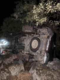 Mardin’de kamyonet şarampole devrildi: 6 yaralı