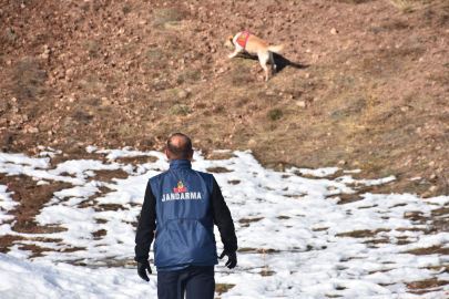 Sivas'ta 8 gündür kayıp; karlı arazide 'Palet' arama yapıyor