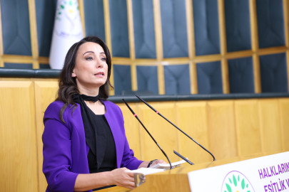 DEM Parti'li Hatimoğulları: Türkiye'nin ve bölgenin barışa ihtiyacı var