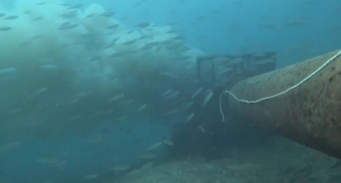 Çanakkale Boğazı'nda denize dökülen pis su, dalgıç kamerasında