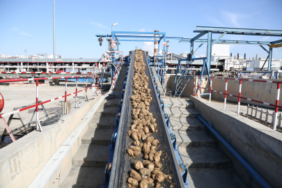 Erkoyuncu 2025-2026 kampanya sezonunu değerlendirdi