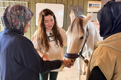 Şehir Stresine Karşı Doğadan Gelen Terapi: Atlı Terapiye İlgi Artıyor